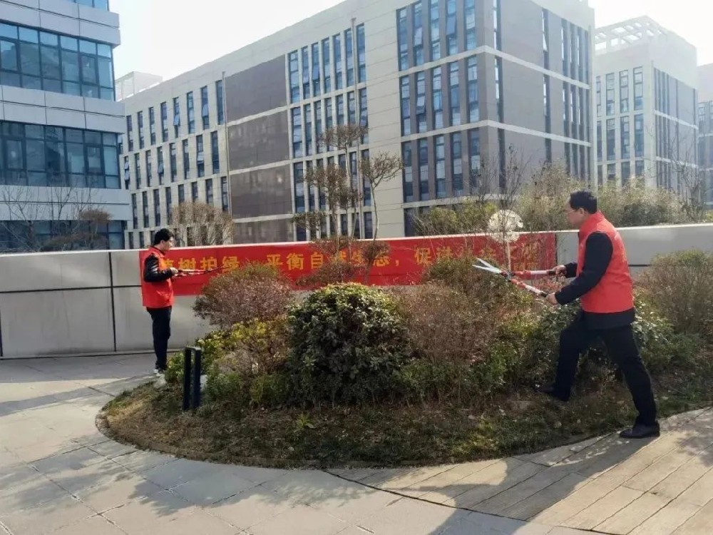 【精神文明建設】愛綠護綠筑希望│鄭投產(chǎn)業(yè)園公司組織開展樹木養(yǎng)護志愿活動